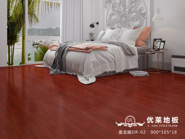 番龙眼DR-02
