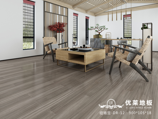 纽墩豆-DR-12